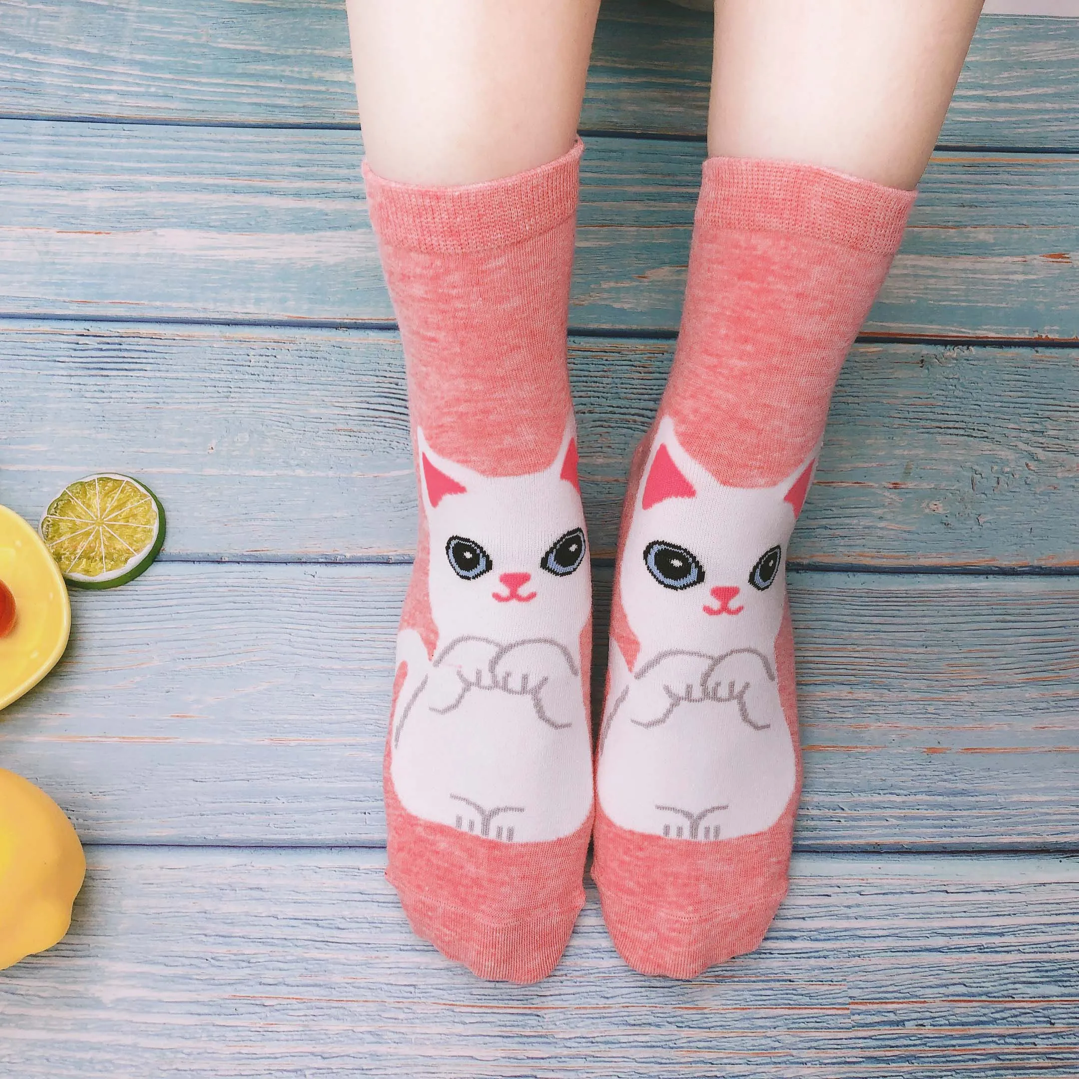 5 pairs lot pack women socks spring Cartoon lovely cotton Kawaii fashion cat with dog funny ins High-top socks happy funny