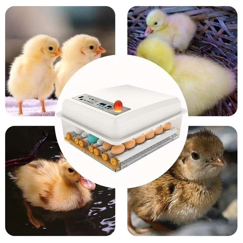 64 Egg Brooder Hatchery Incubator Automatic Incubatores with Turner for Farm Hatching Goose Quail Chicken Eggs Hatcher Machine