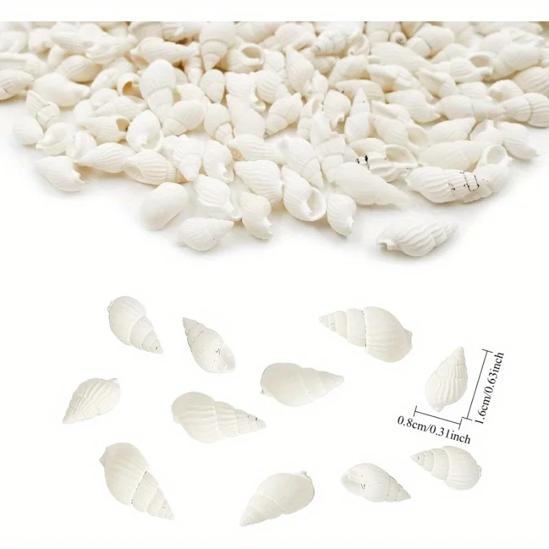 White Clam Cay Sea Shells for Home Decorations Party Wedding DIY Crafts 350pcs Spiral Shape