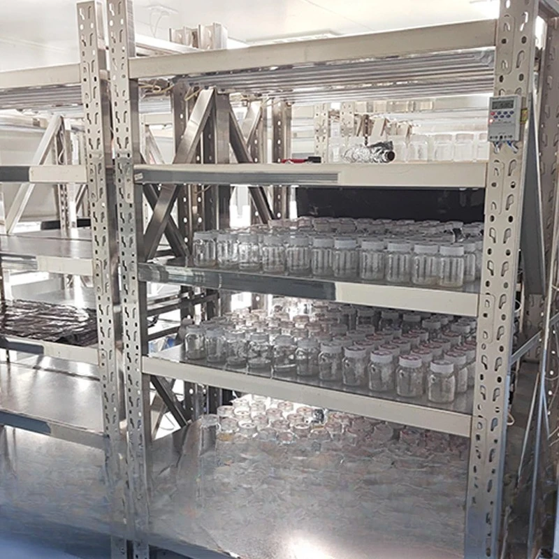 2025 Plant cultivation rack, lighted tissue culture rack, LED lamps, movable seedling rack, cold-rolled steel shelf