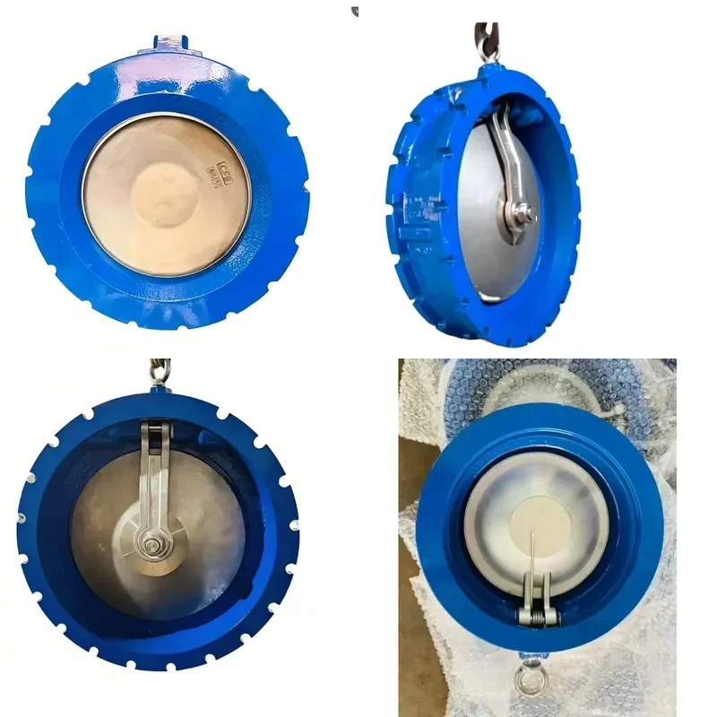 Cast Iron Single-Flap Butterfly Style Wafer Type Check Valve for Water