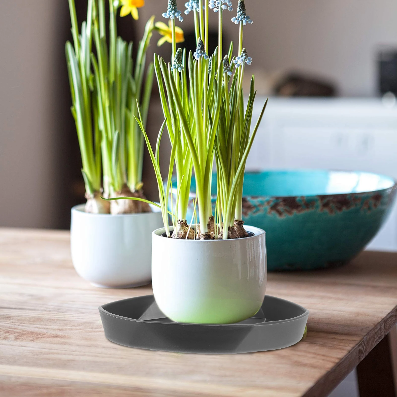 

4Pcs Flower Pot Trays Large Plastic Drip Pan Saucers Suitable Size Easy Clean Lightweight Gardening Use Plant