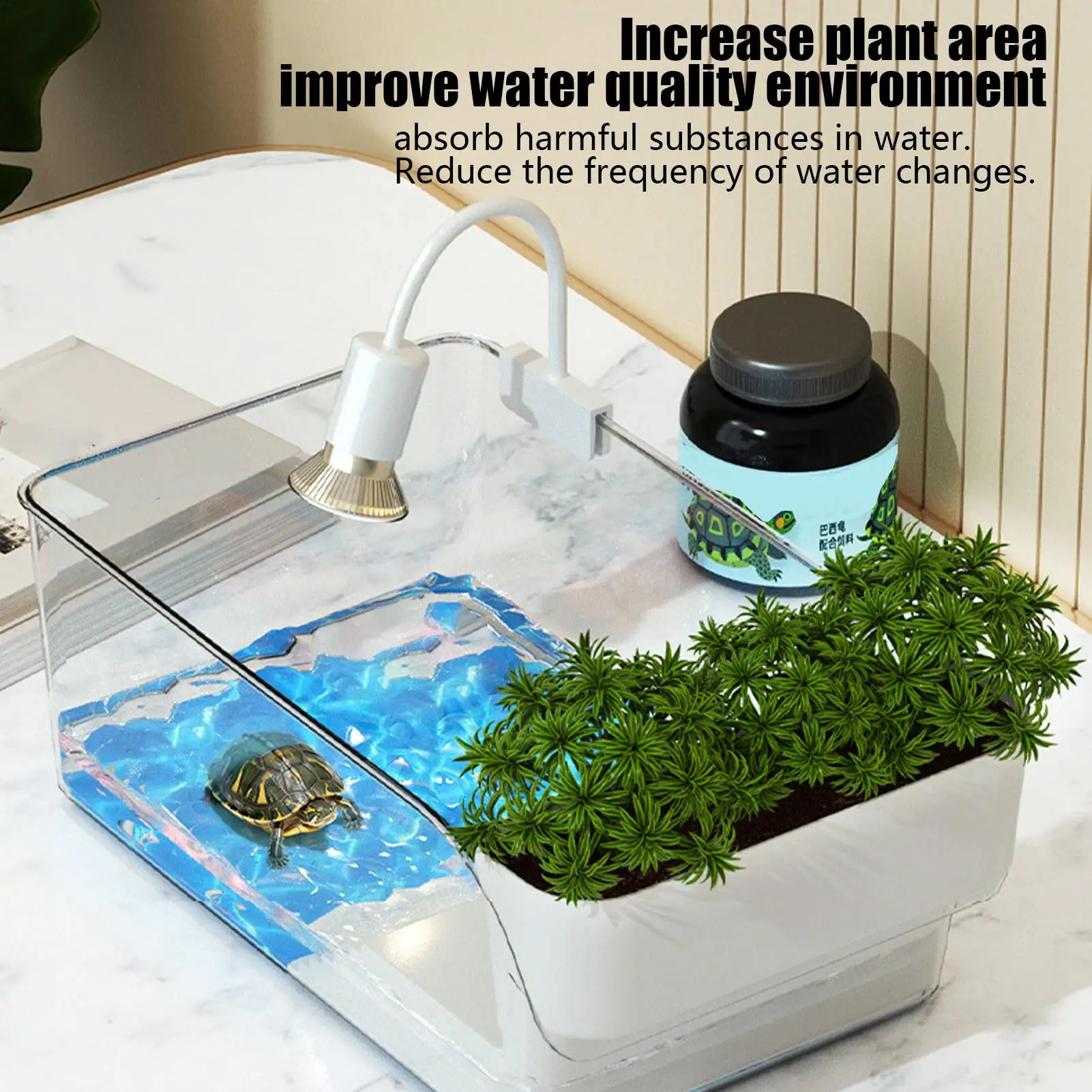 Aquatischer Schildkröten-Tank, transparentes Schildkröten-Terrarium, dekorativer kleiner Krabben-Fütterungs-Lebensraum für Natur-Erzieher, Schildkröte