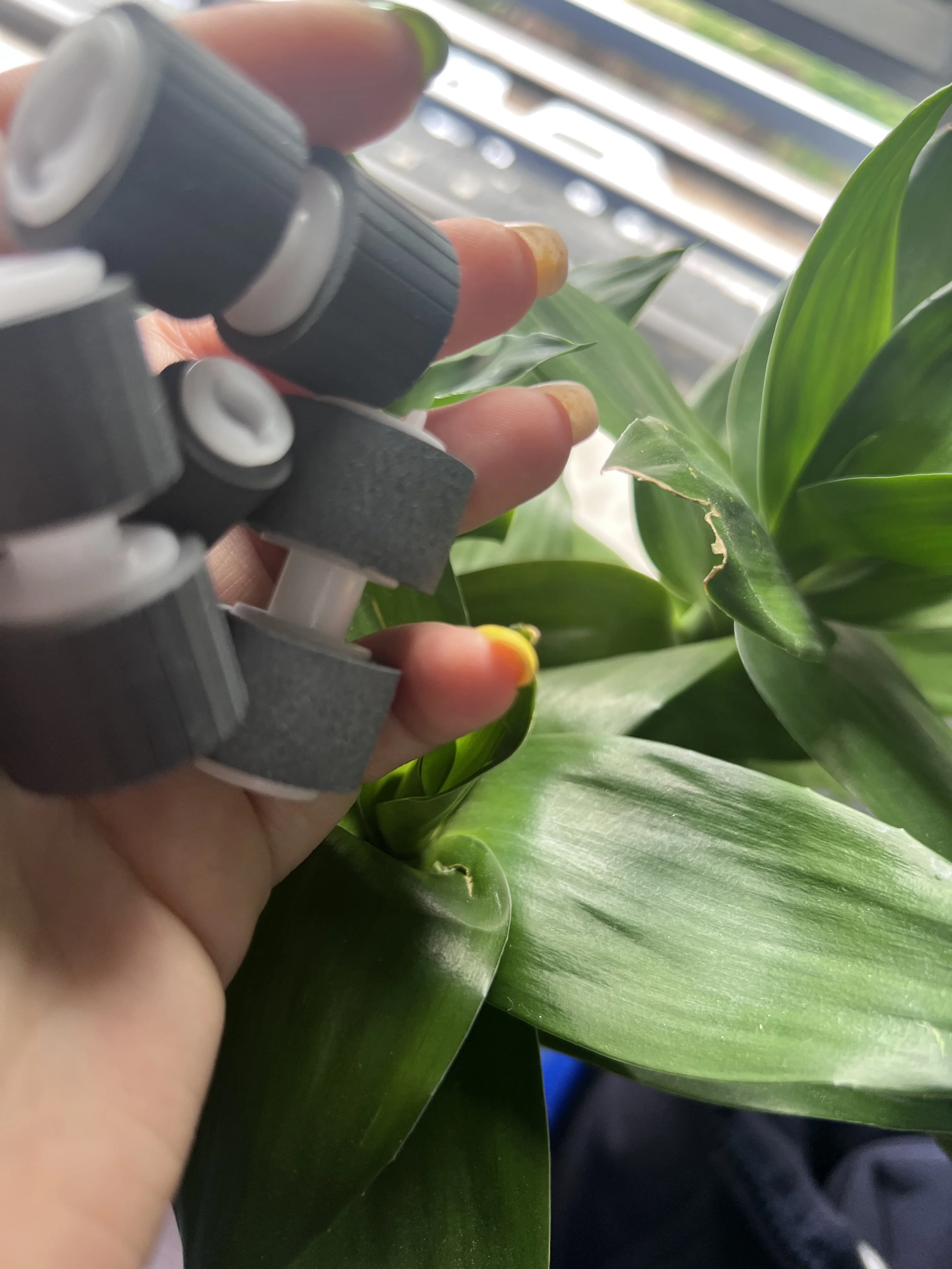 

5X B12B813581 Roller Assembly Kit for EPSON WorkForce DS-760 DS-860 / DS760 DS860