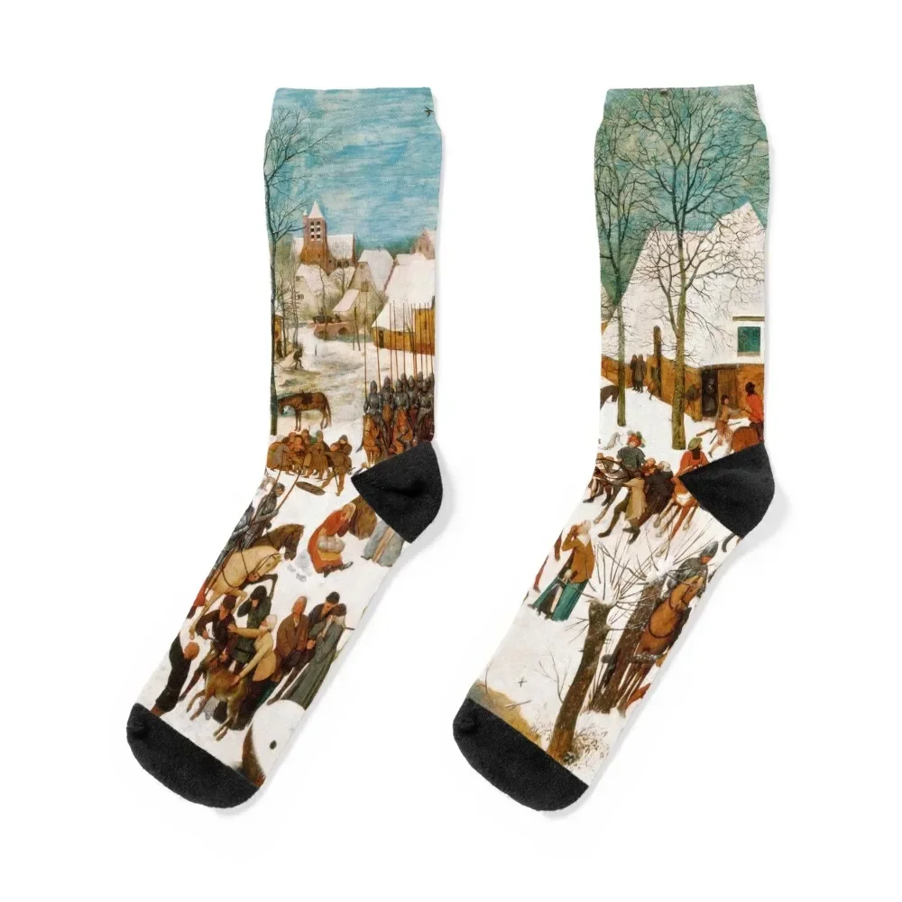 

pieter bruegel artist, pieter art, artwork, painter, paintings Socks designer football Running happy Socks Women's Men's