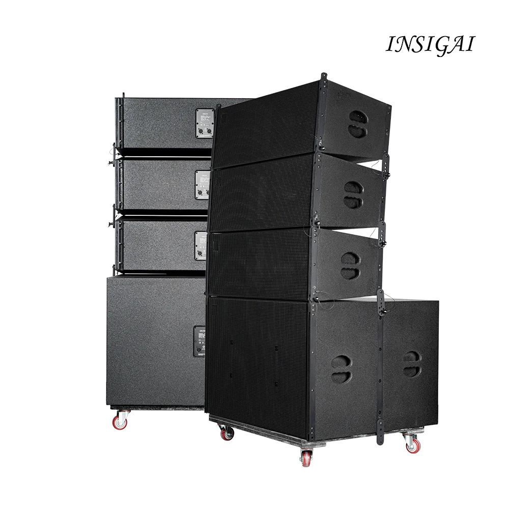 

DCW212 Professional Stage Audio Subwoofer Sound System Dj Fashion Equipment Passive Dual 12 Inch Line Array Speakers