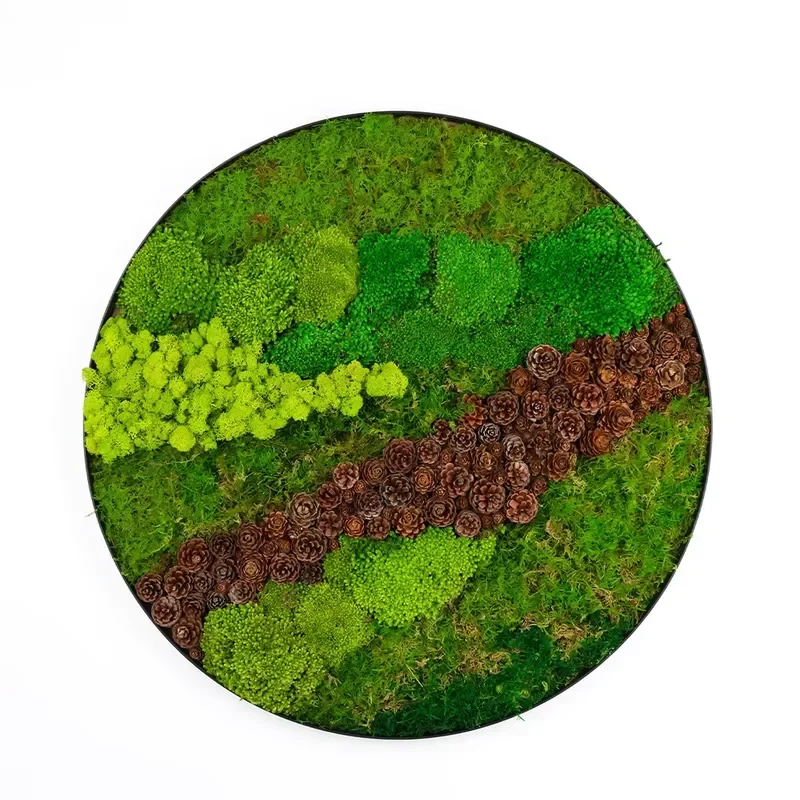 Ready Made Customized Office Decoration 3D Real Natural Moss Wall Art Frame Wholesale Stabilized Preserved Reindeer Moss