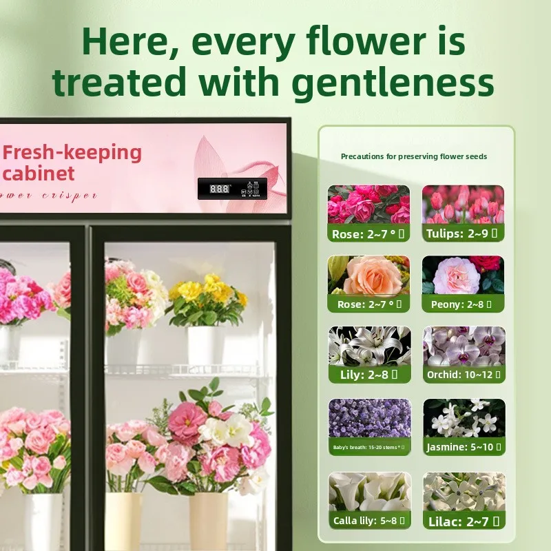 HXL Flower Shop خزانة حفظ الزهور الطازجة التجارية ذات سعة كبيرة، فريزر مبرد بالهواء، حفظ طازج