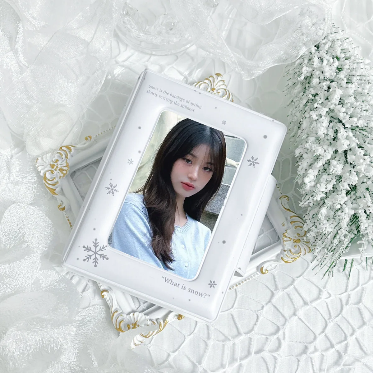 Fan Card Storage Book Spacious Card Organizer Photo Card Organizer High-Quality For Fandom Collection Fan Memorabilia