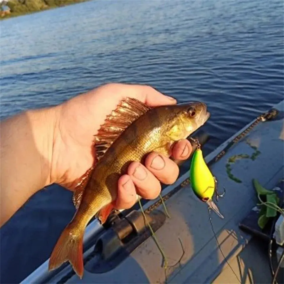 Kurbel Angeln Locken Köder Wobbler 13,6g 10cm Minnow Isca Künstliche 3D Augen Lockt Crankbait Für Bass Hecht karpfen Pesca Tackle – Detail 9