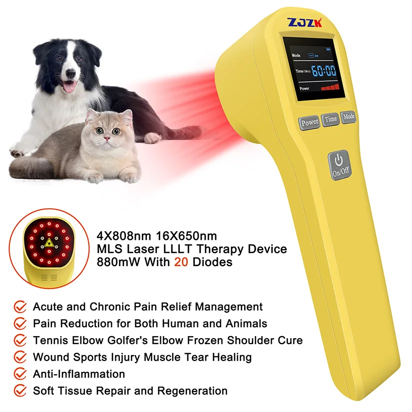 

Low Level Cold Laser for Back Pain Relief At Home 20 Diode 4x808nm+16x650nm 880mW With Continuous and Pulse Working Modes