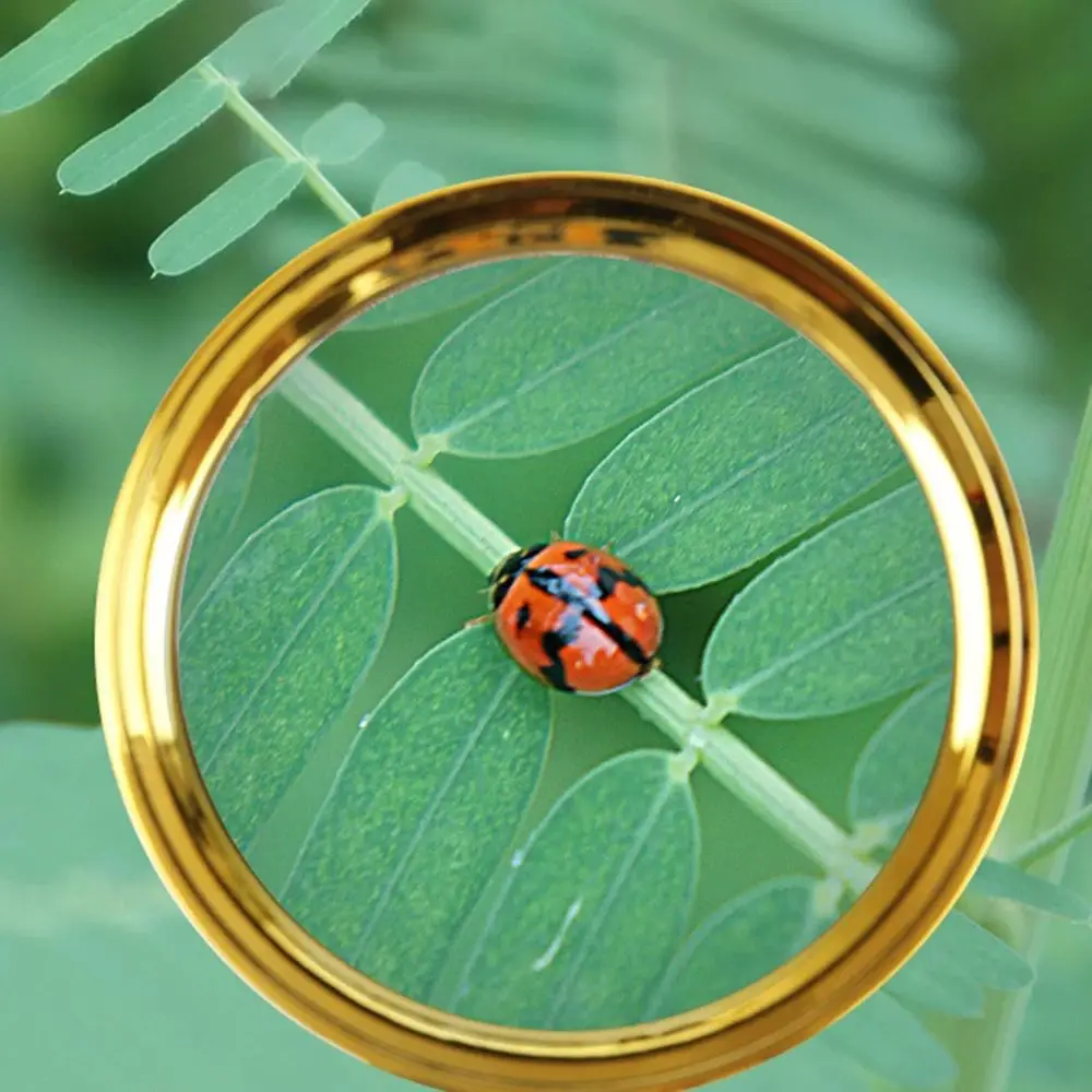 Microscopio portatile con lente d'ingrandimento per gioielli da lettura HD di alta qualità 60/70/80/90/100mm