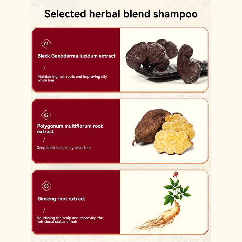 Ginger Plant Extract Shampoo Anti-Hair Loss, Polygonum Multiflorum Oil Control, Shampoo Anti-Caspa, Herbal Natural, 240ml