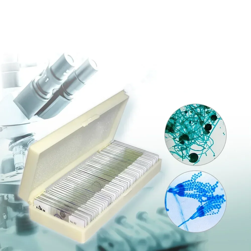 50pcs Microscope Glass Microbial Bacterial Fungi Mold Actinomycetes Specimen Slides Accesorio Telescopio Microscopio Laboratorio