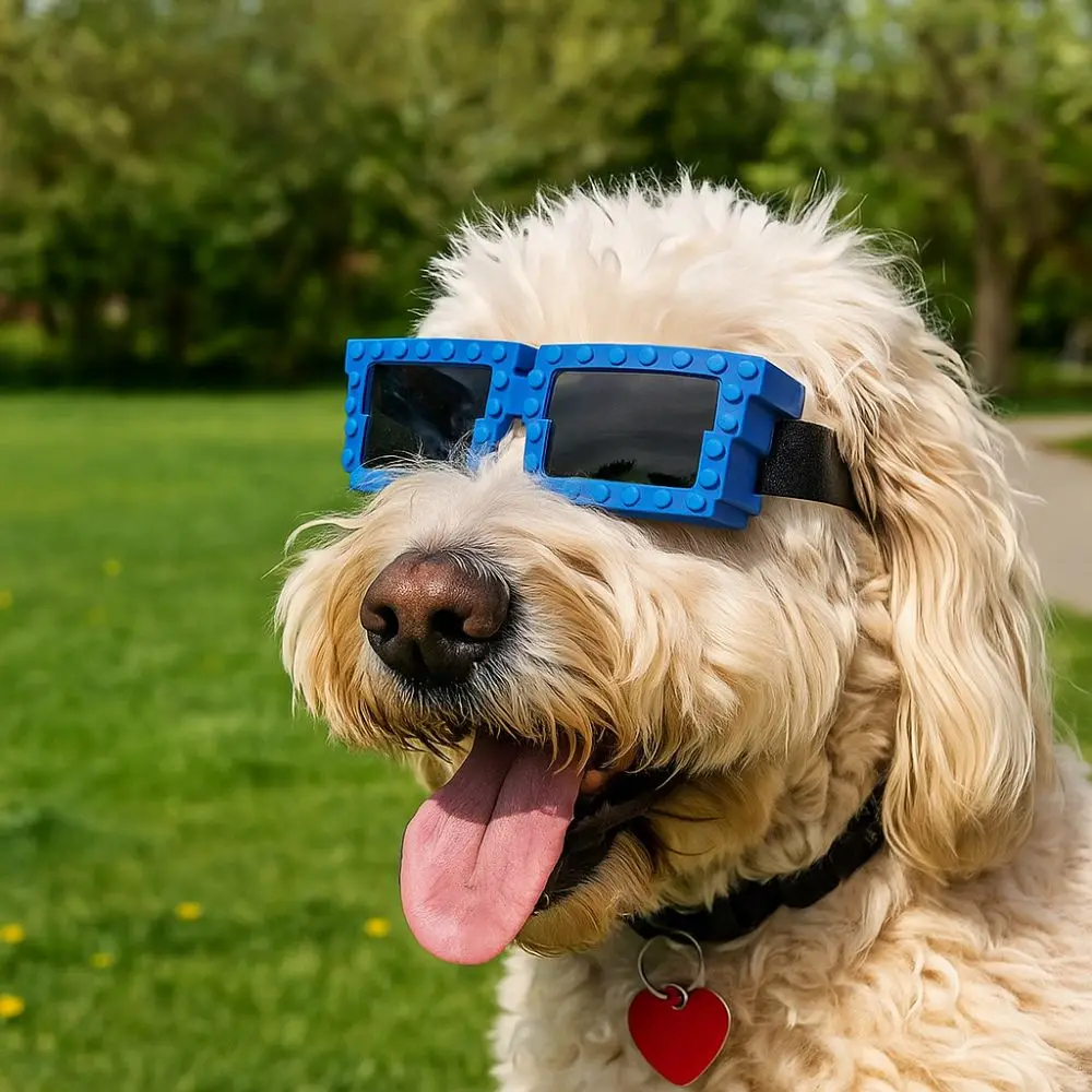 

Building Block Dog Goggles Novelty Breathable Protective Eyewear UV Protection Adjustable Windproof Dog Glasses Gift Giving