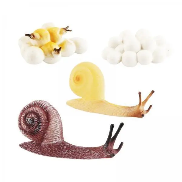 Life Growth Cycle Set Realistic Animal Figures Montessori Early Learning Toys for Home and School Education