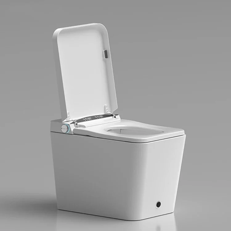 xx-Cheap Price Smart Electric Automatic Toilet Commode With Tank