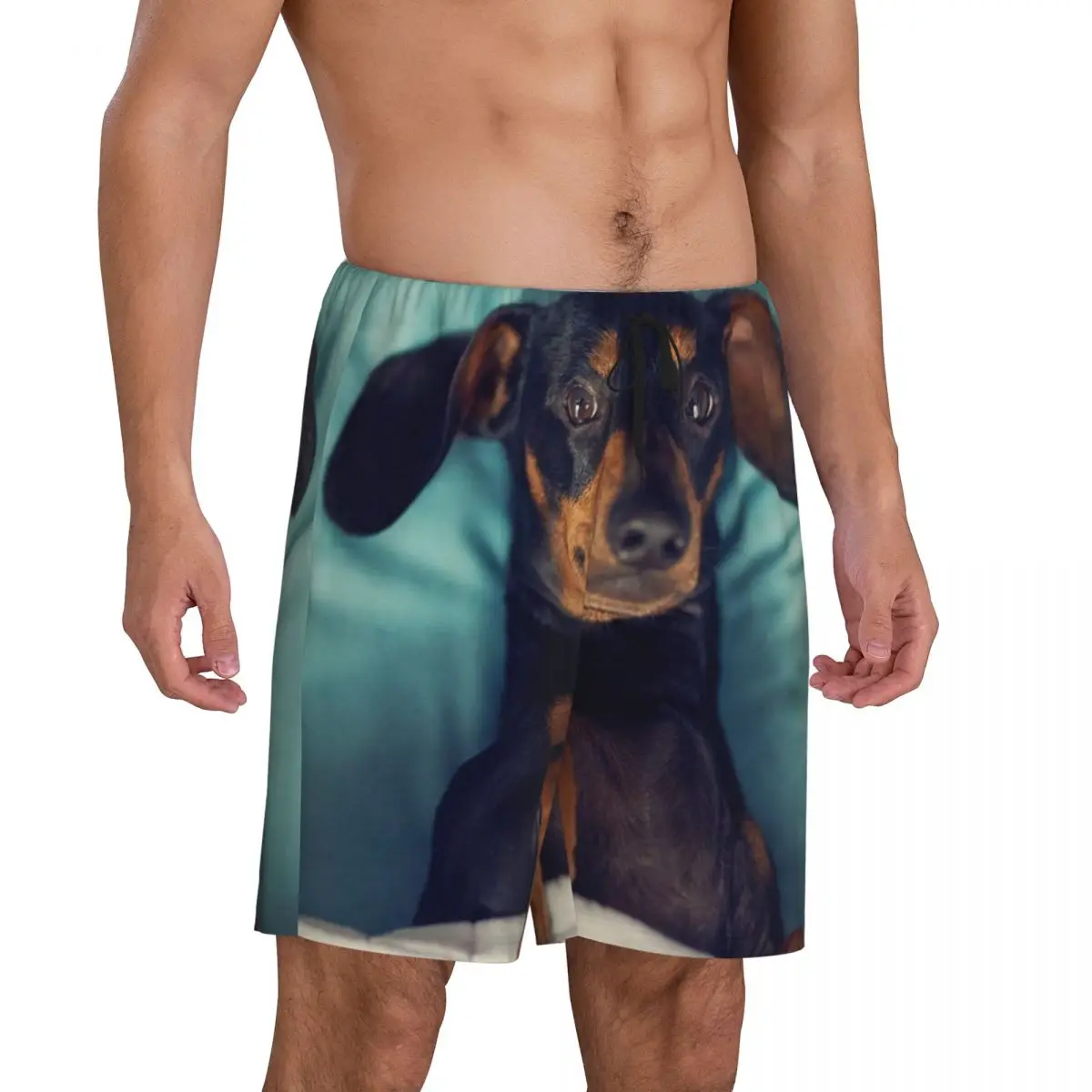 Custom Print Men Dachshund Pajama Shorts Badger Sausage the Wiener Dog Sleep Pjs Sleepwear Bottoms with Pockets