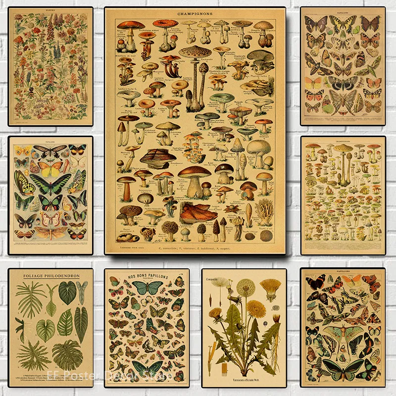 Botanical Art Prints Mushroom Retro Poster Animal/Flower/Plant/Leaf/Butterfly Study Painting Vintage Study Room Home Wall Decor