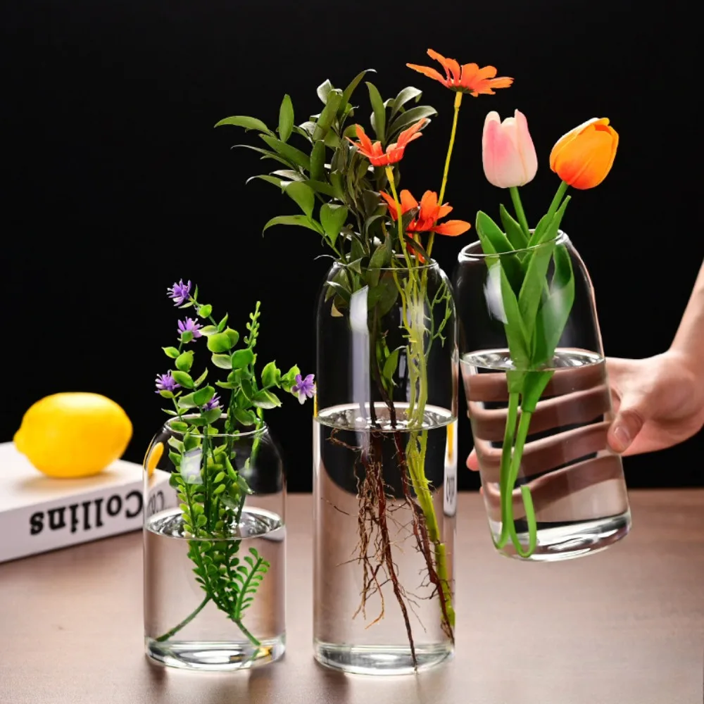 Einfache moderne Blumenvase aus Glas, Heimdekoration, Hydrokultur-Pflanzenflasche, Desktop-Dekoration für Hochzeit, Empfang, Familie – Detail 4