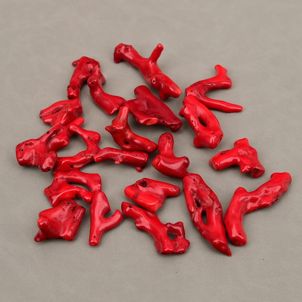 APDGG 20 Pcs B+ Big Natural Red Coral Top Drilled Branch Freeform Gems Loose Beads Charms Pendant DIY