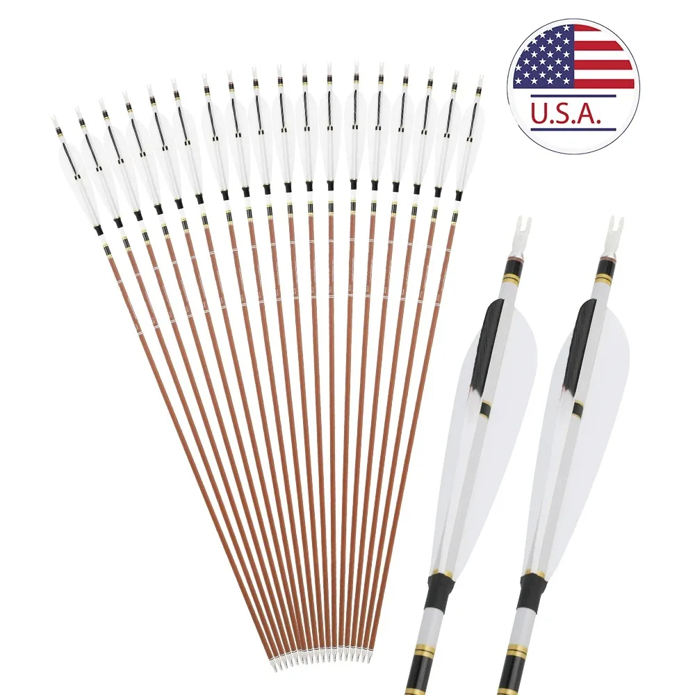 Archery Pure Carbon Arrow Shaft 31" Natural Feather Spine SP340-600 Replaceable Arrow Points Suitable for Outdoor Practice Training
