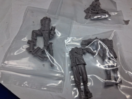 Buyer photo of this resin kit