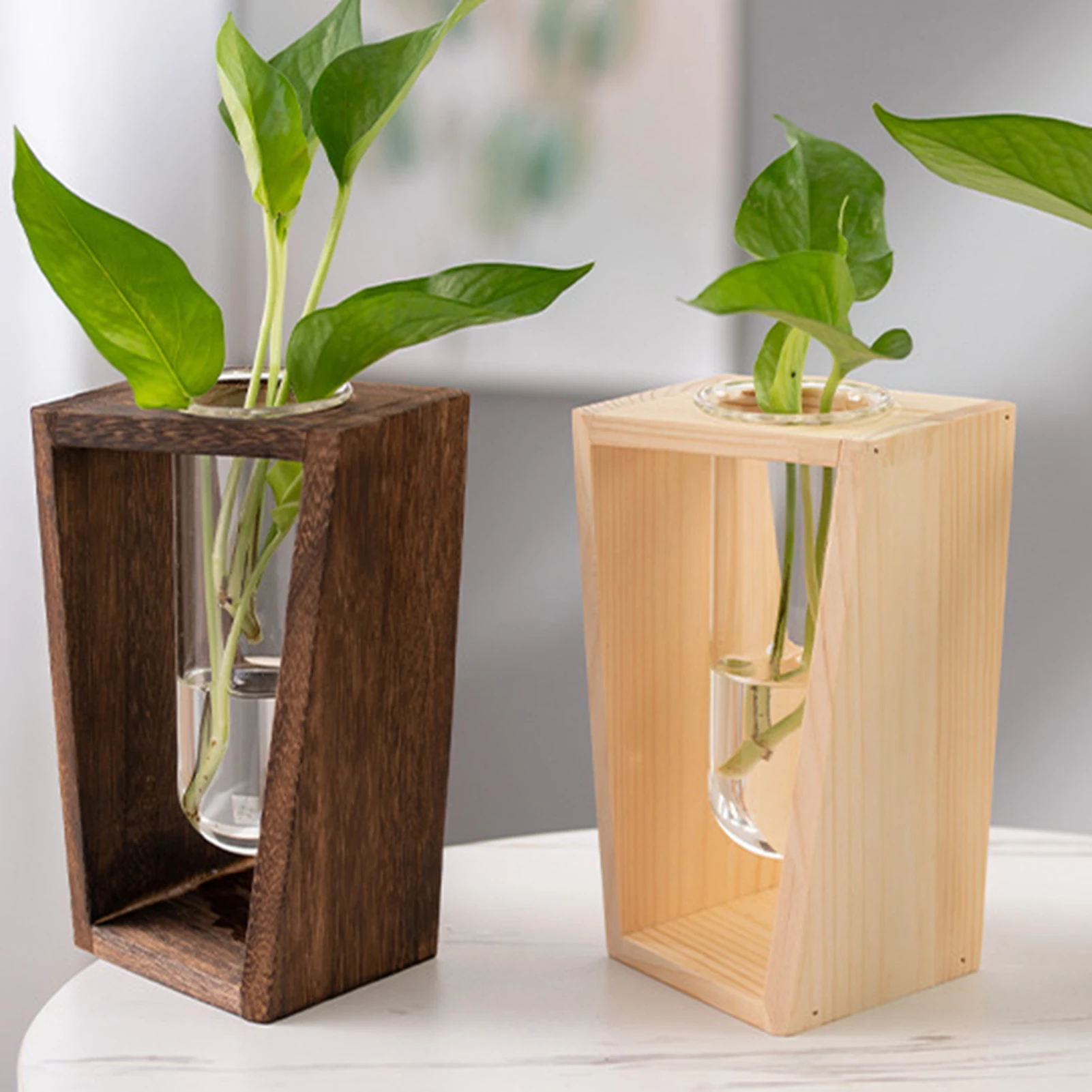 Hydroponic Glass Container Vase Jars Modern Simple Plants Terrarium Container Desk Decor Ideal Gifts for Families Friends