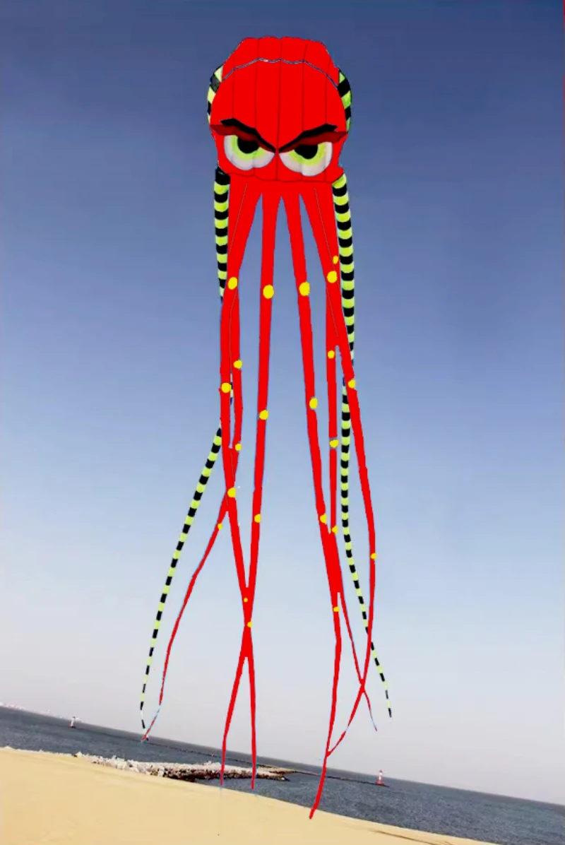 Grandi aquiloni aquiloni polpo da 800 cm aquiloni giganti volanti per adulti aquiloni a fiato professionali fabbrica sport papalote windsurf