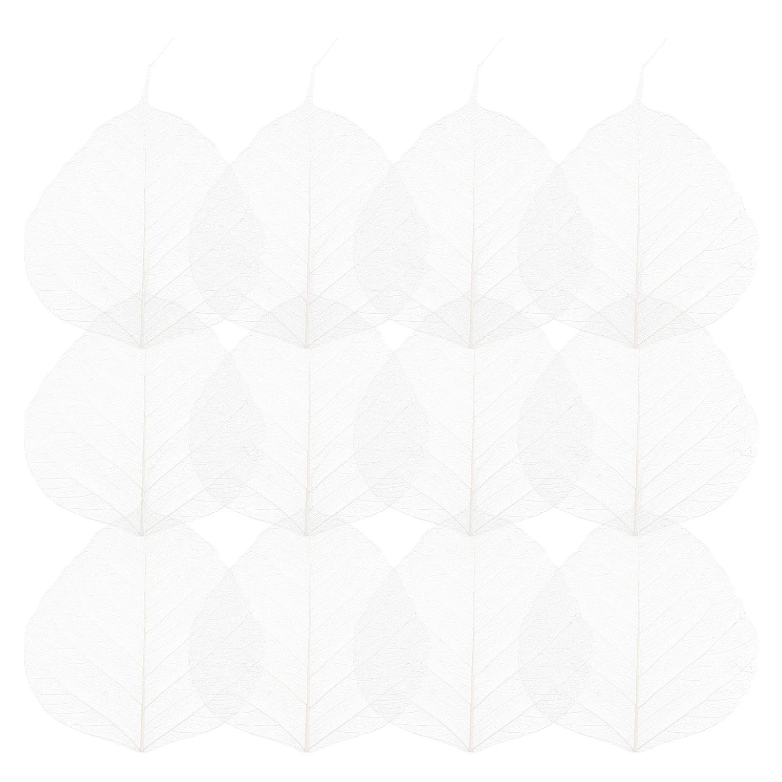 20 Pcs Decor Bookmark Accessory Leaves for Craft Project Natural Dried Specimen Baby