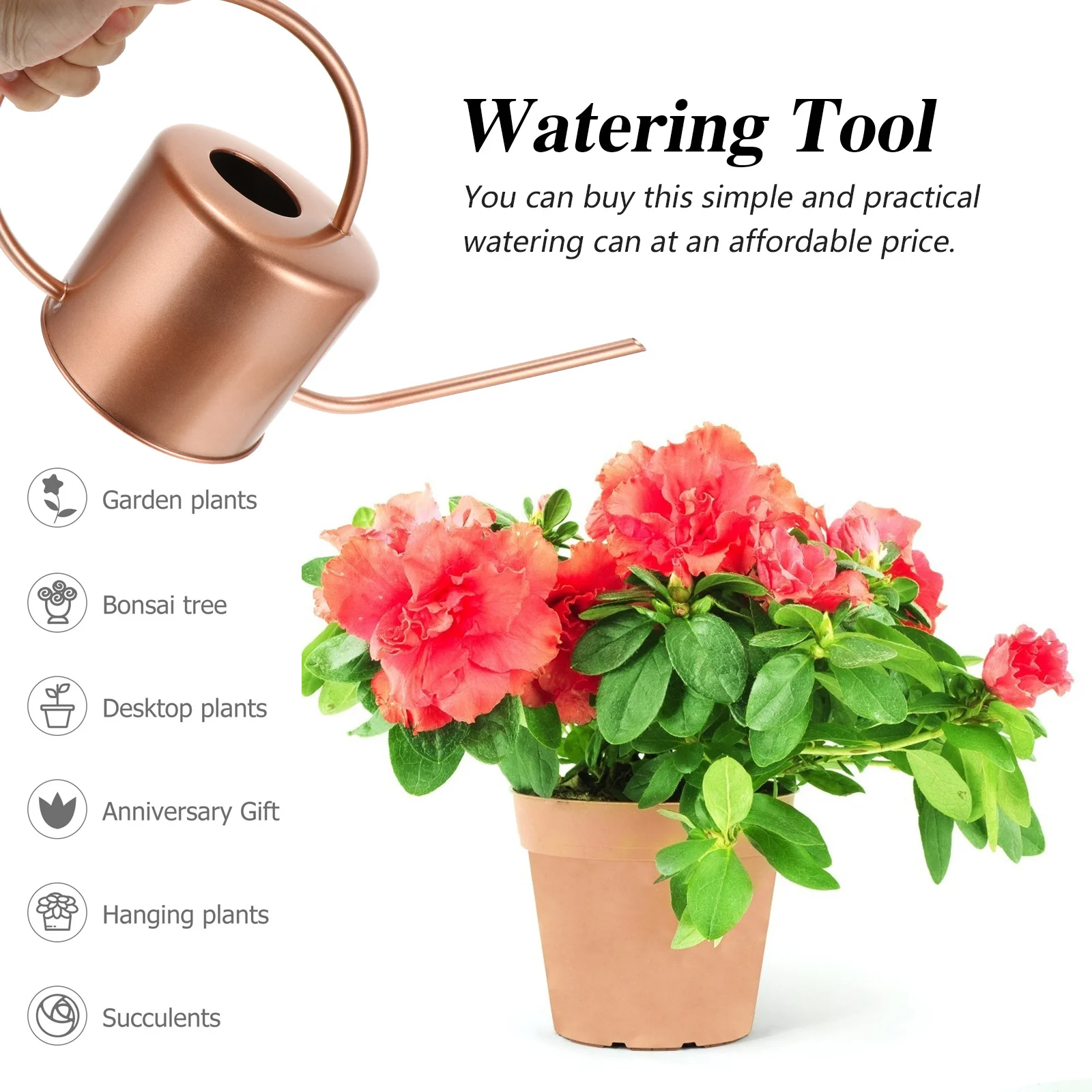 

Long Spout Watering Can Stainless Steel Heavy Duty Garden Water Pot for Even Gentle Water Flow Outdoor Indoor Plants Care
