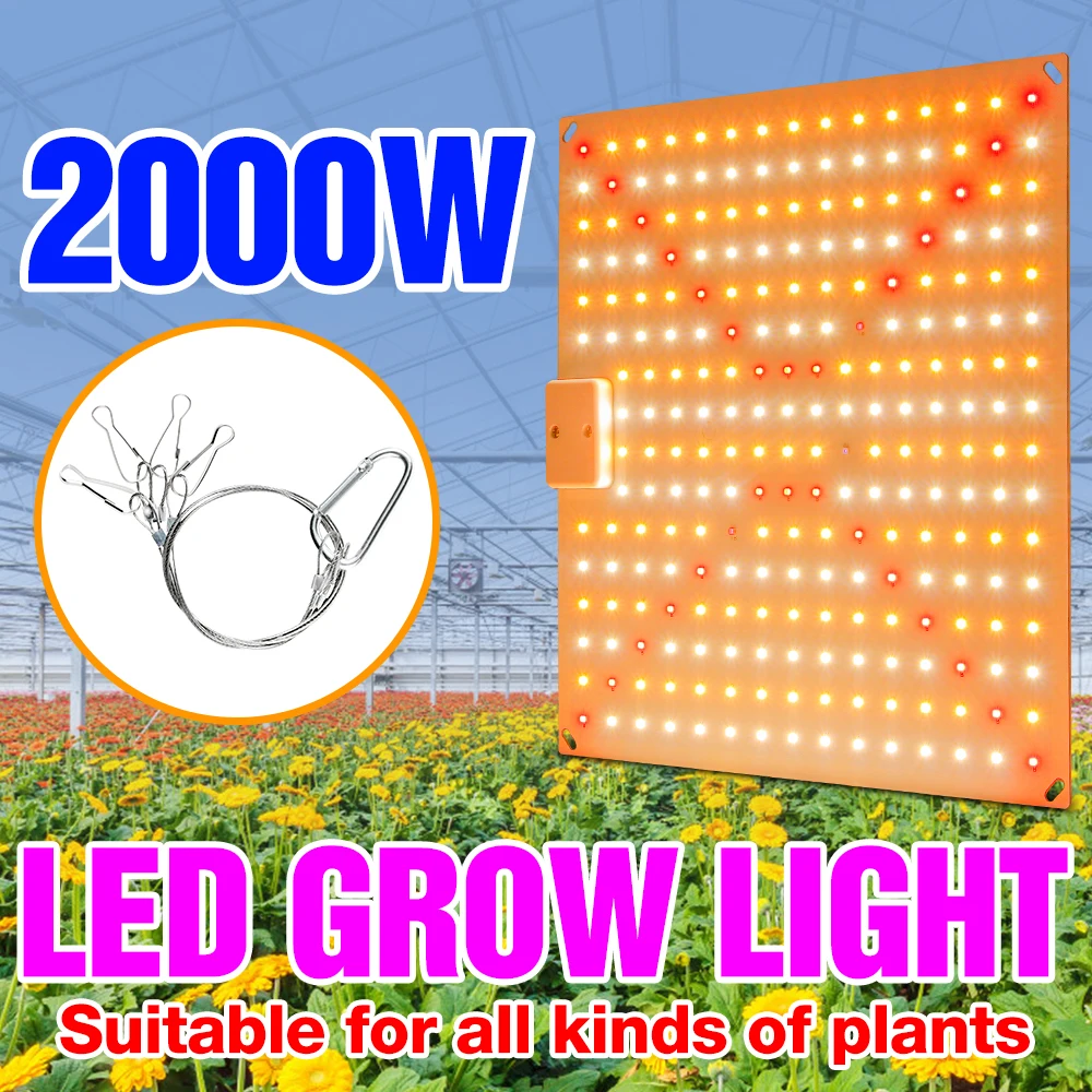 

3000W Full Spectrum Phyto Lamp For Plant Led Grow Light Growth Light Hydroponics Lighting Indoor Flower Seed Quantum Board 2000W