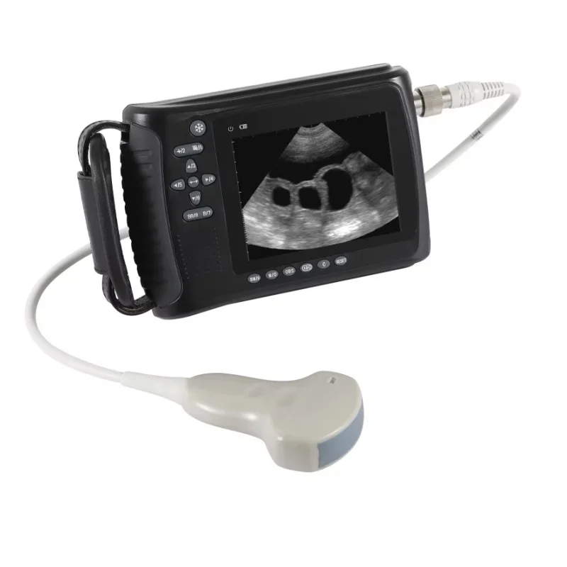 Portable Ultrasound Machine high end other veterinary instrument ultrasound machine for animal/pet use