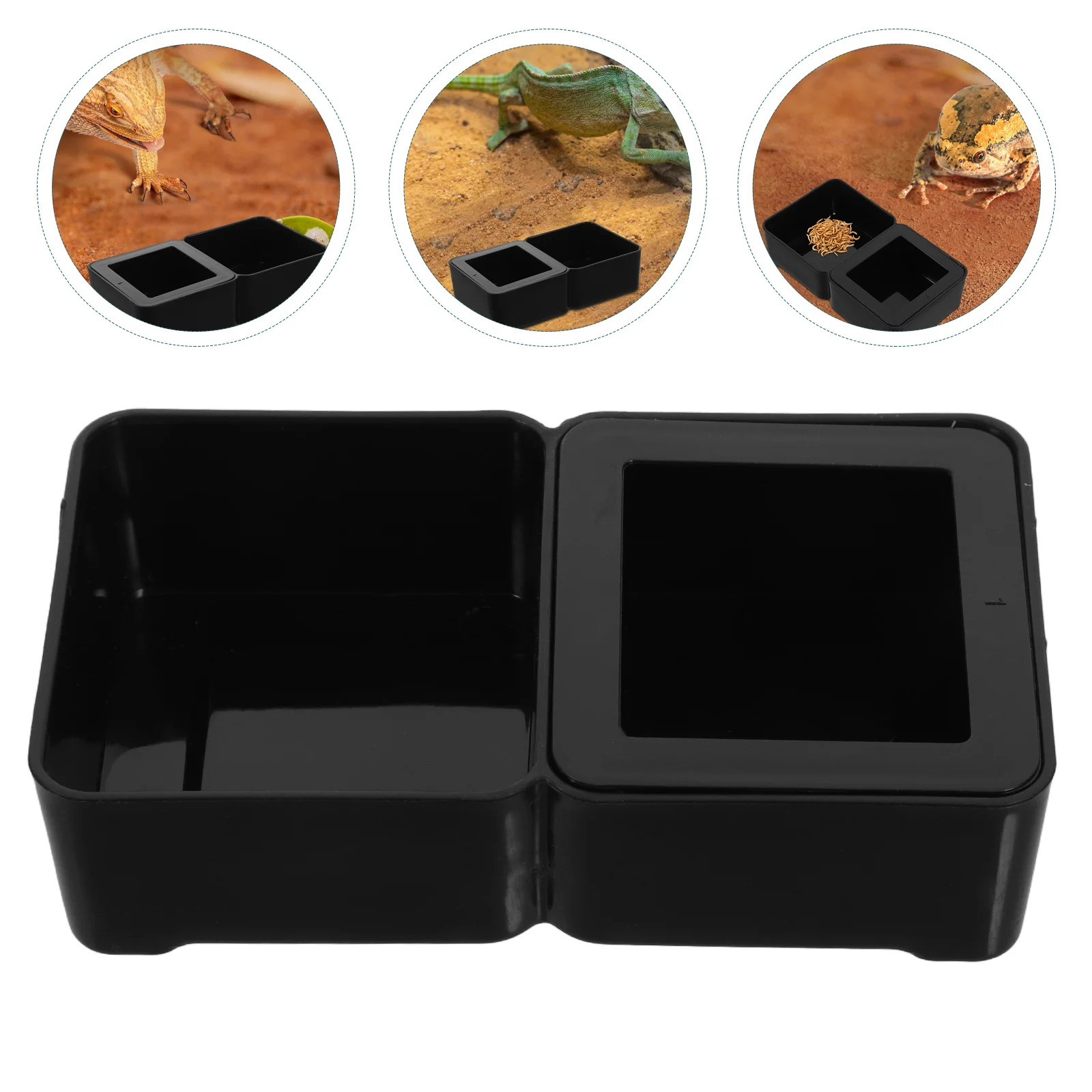 

2 in 1 Reptile Feeder Bowl Plastic Waterproof Dish for Lizards Geckos Chameleons Dragons Crickets Worms Easy