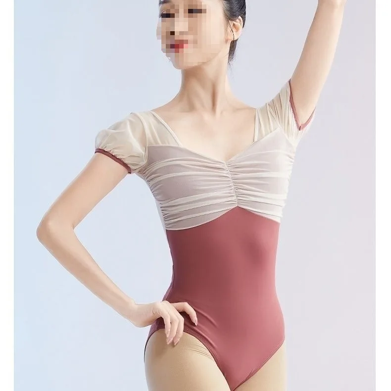 

Women's Ballet Leotard Embroidered Mesh Stand Collar Hidden Buckle V-Shape Dancewear Adult Fitness Costume