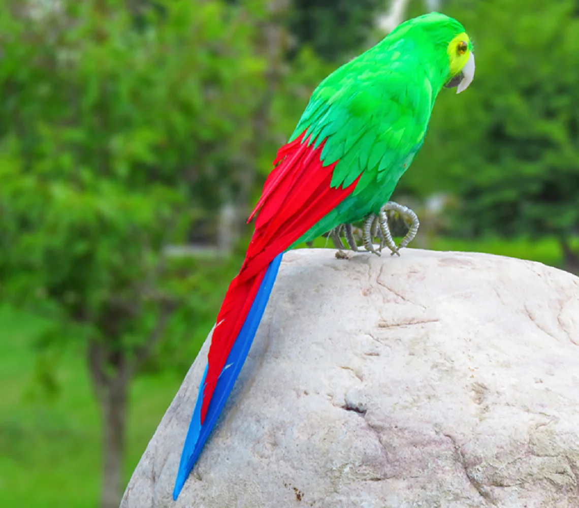 

green simulation parrot model foam&feather red tail bird doll gift about 45cm