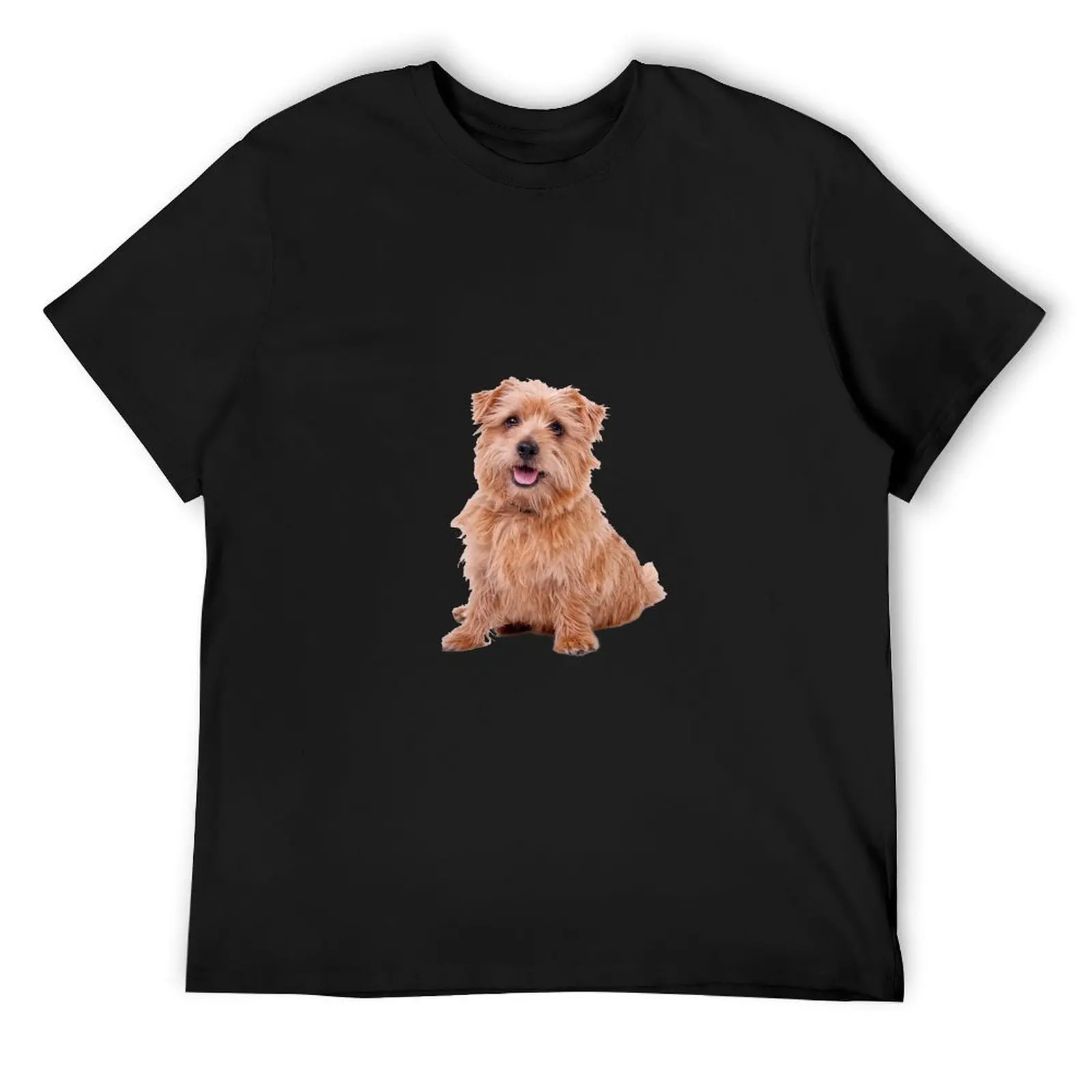 

Norfolk Terrier T-Shirt for a boy new edition mens big and tall t shirts