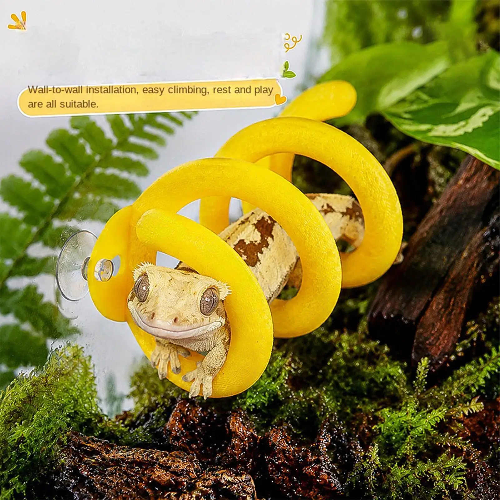 Spiral Rings Reptile Climbing Frame With Suction Cup Base Multi Layer Hiding Rest Platform For Ball Python Corn Snake Bearded - view 3