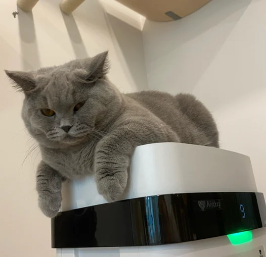 Easy Cleaning Smart Electrostatic Air Purifier for Pet Dog Cat Hair Dust Remove