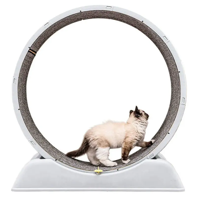 New Cat Treadmill with Silent and Non Stuffed Feet, Cat Toy Climbing Frame, Plastic Fitness Exercise, Cat Running Wheel