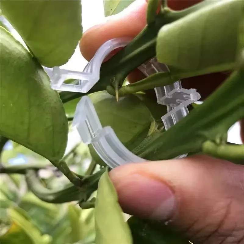 

50/100PCS Plant Support Clips Reusable Plastic Plant Vine for Vegetable Tomato Garden Supplies Protection Grafting Fixing Tools