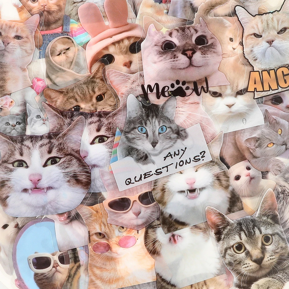 

10/30/50pcs Funny Cats MEME Graffiti Stickers Cute Animal Waterproof Sticker DIY Scrapbook Guitar Laptop Transparent PET Decals