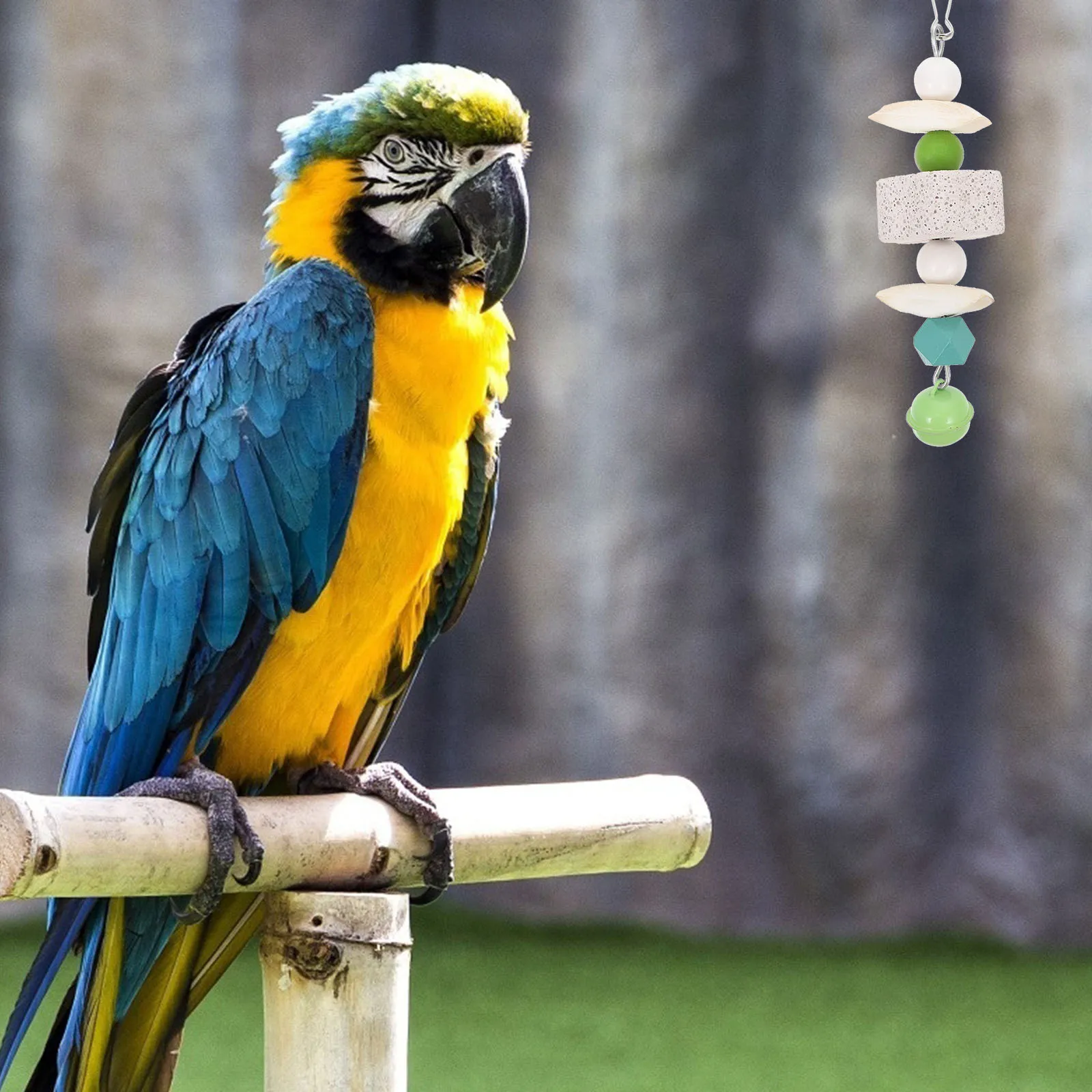 

Green Hanging String Cuttlebone Volcano Stone Bird Toy Parrot Chewing Plaything Pet Nibbling Accessory Lightweight Easy Install