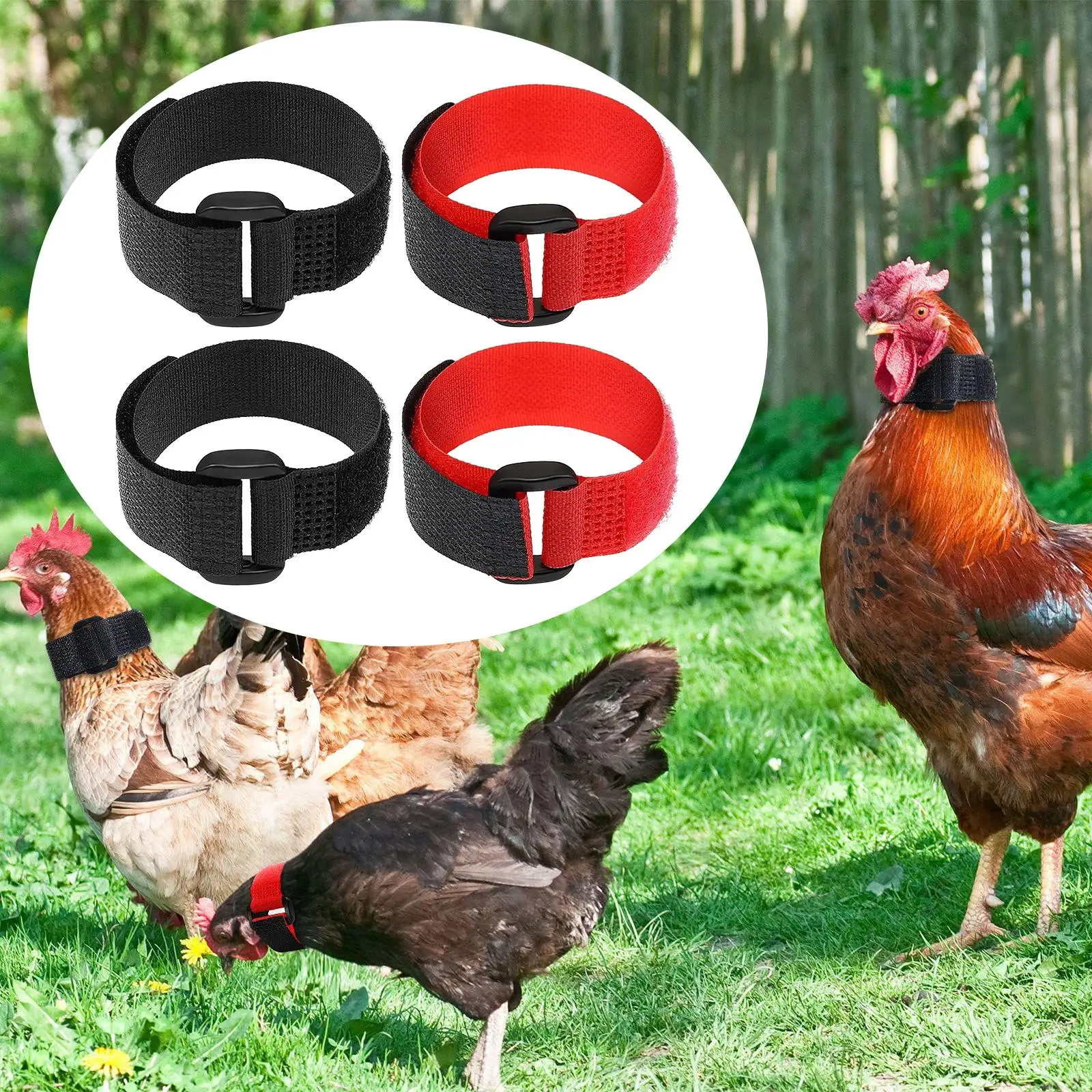 Adjustable Rooster Collar Prevent Chicken Screaming 4Pcs Rooster Noise Free Wide Application Anti Crow Chicken Collar for Farm