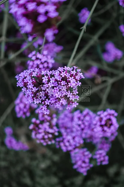 

1/10 RC Crawler 1.9 Beadlock Wheels Tires Height Soft for Trxs Axial TRX4 SCX10 II III Redcat Gen 8 Rocks Mud