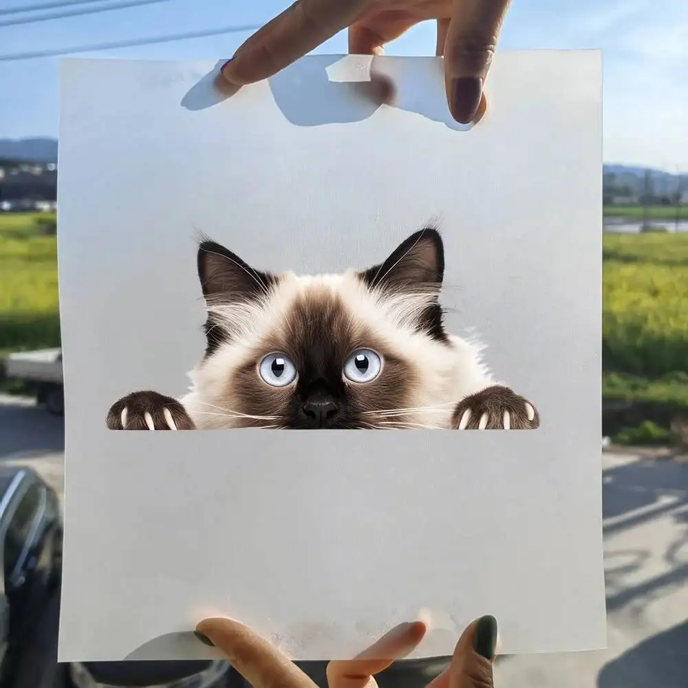 15cm Kids Hide-and-seek Cat Iron On Heat Transfer Sticker For Clothes Pinted Vinyl Thermal Appliques Washable T-Shirt Decal
