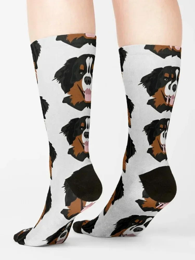 Bernese Mountain Dog - The Theo Socks Novidades meias térmicas de inverno antiderrapantes para homens e mulheres