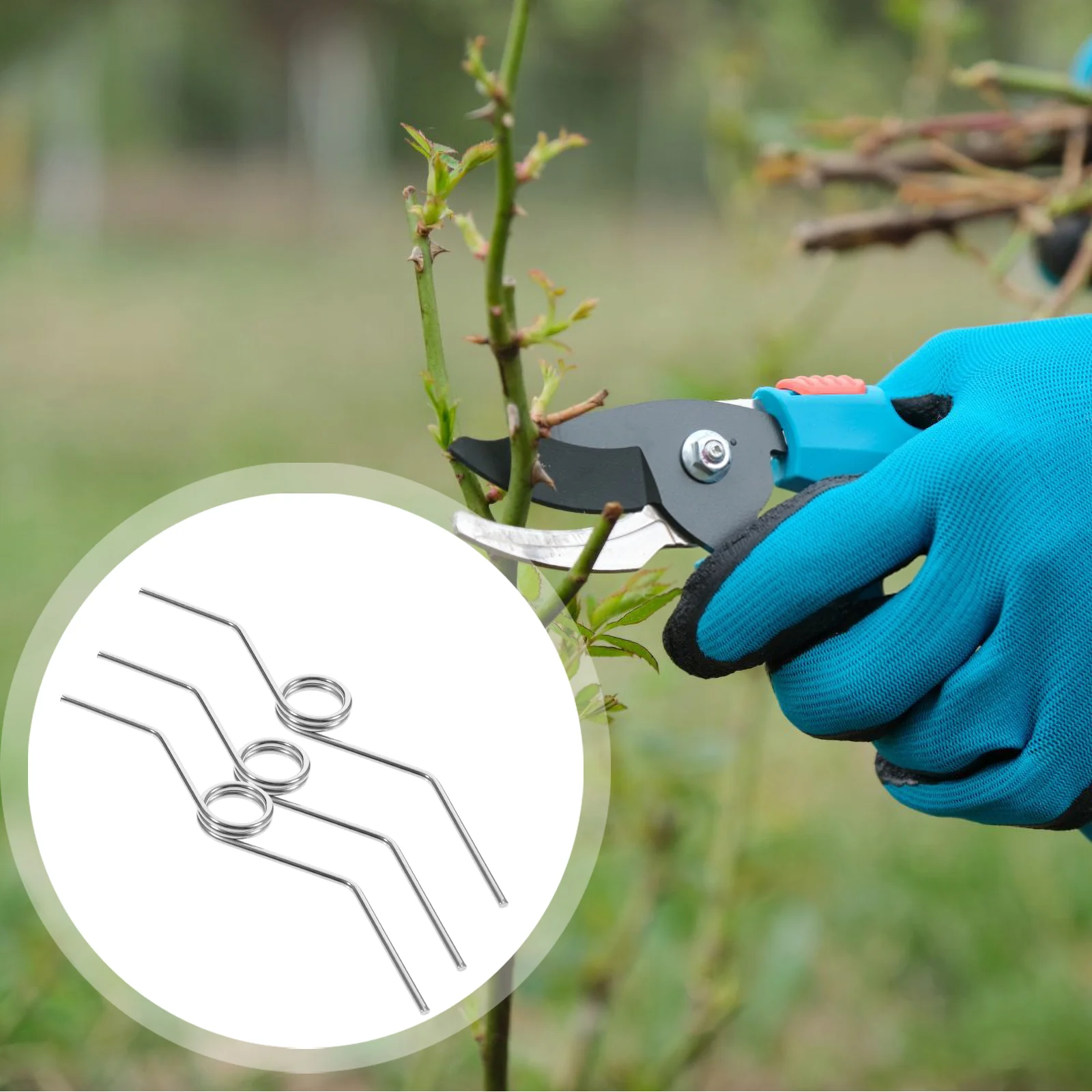 

5 Pcs Fruit Picking Shears Spring Wire Pruner Parts Steel Pruning Replacement Springs Manual