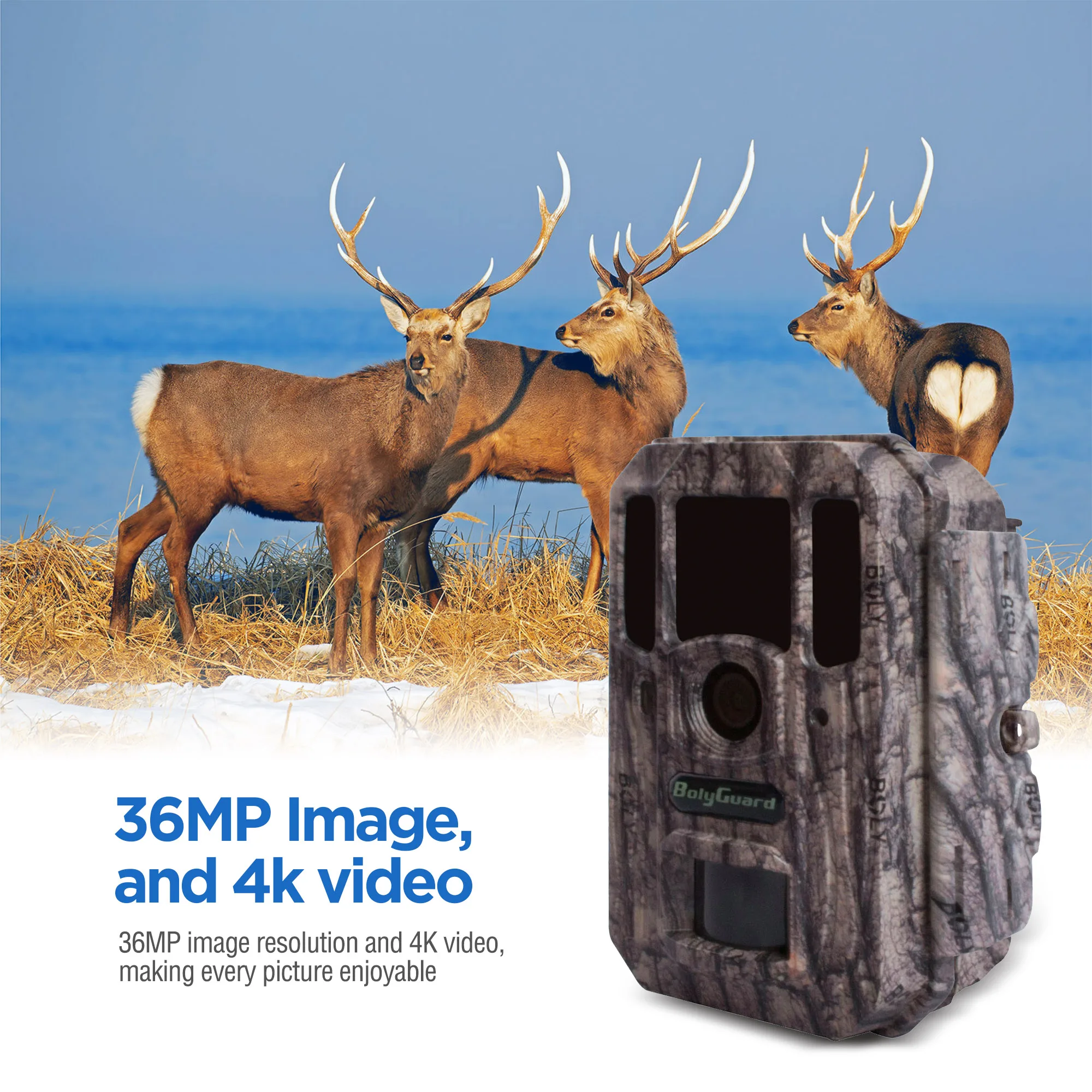 

BolyGuard Trail Camera 4K/36MP Pro Hunting Game Camera 940nm Invisible Night Vision Wide Angle 110 IP68 Waterproof BG662-W4K