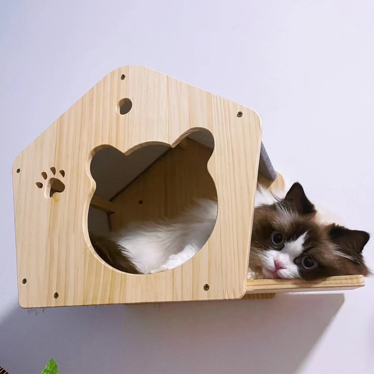 Imagem -05 - Wall Mounted Wooden Cat Hammock Cat House Cama Suspensa Diferentes Tipos de Animais de Estimação Poleiro para Dormir e Descanso Peça